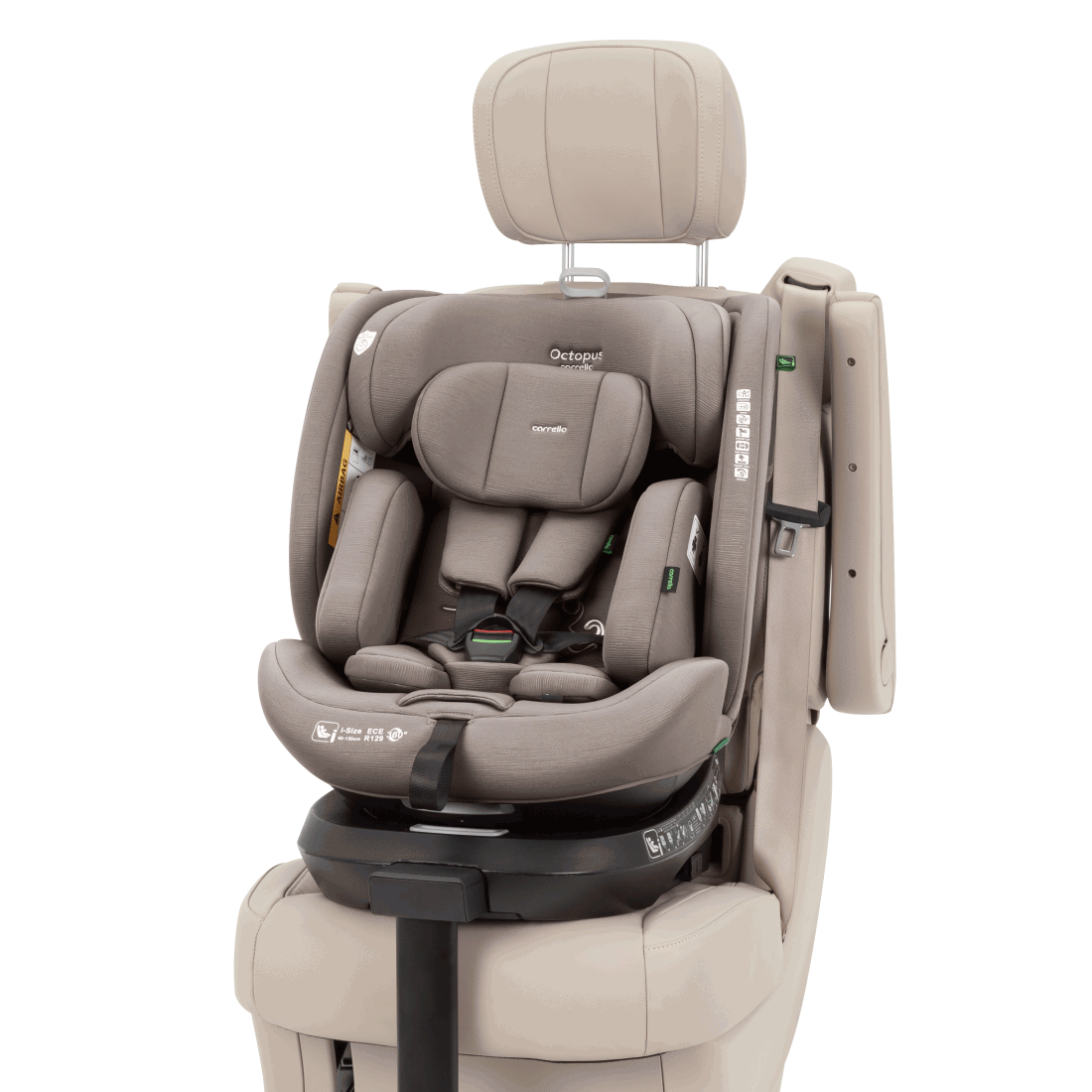 Carrello - OCTOPUS - Sandstone Beige